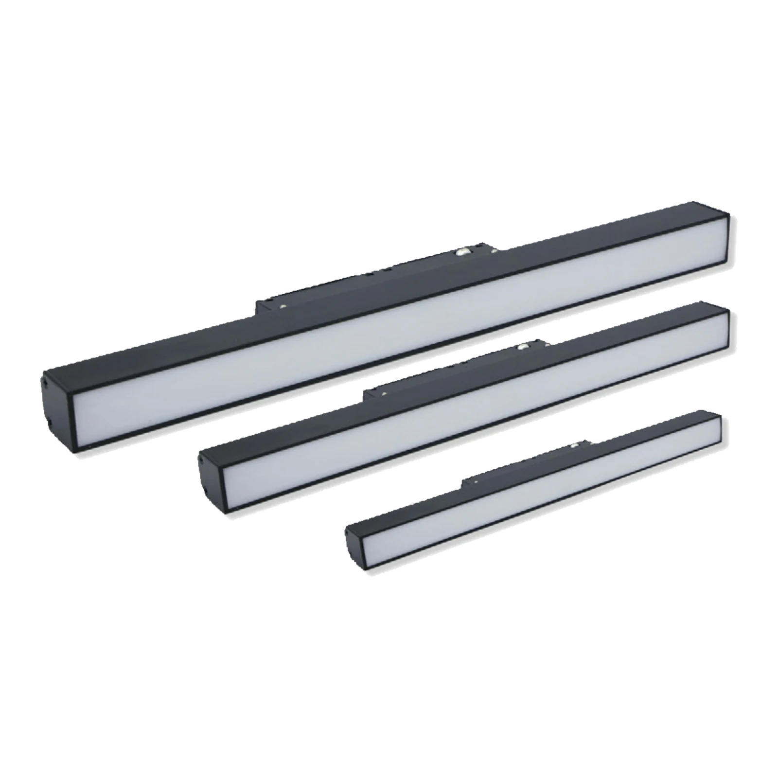 Magnetic Profile